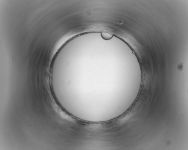 X0000090411094200707272044