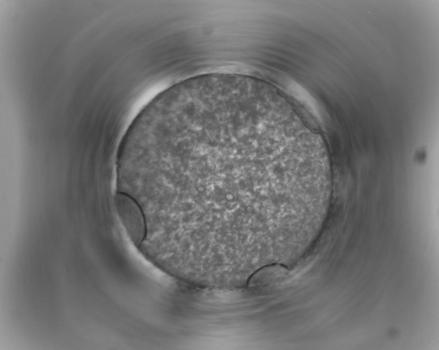 X0000090411095200707272044