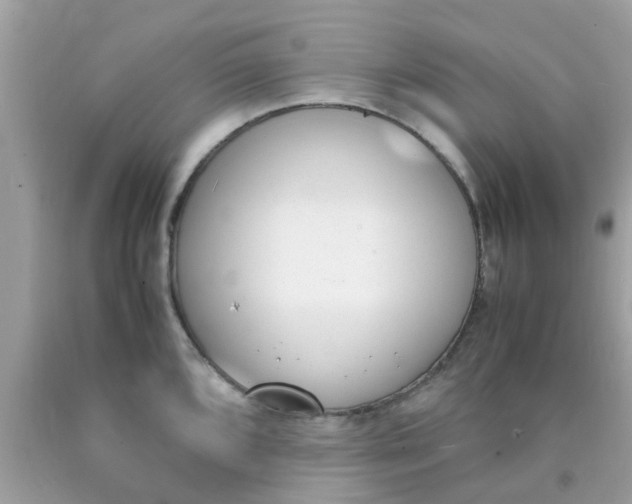 X0000090411096200707272044