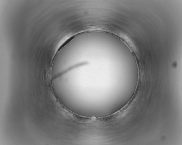 X0000090411097200707272044