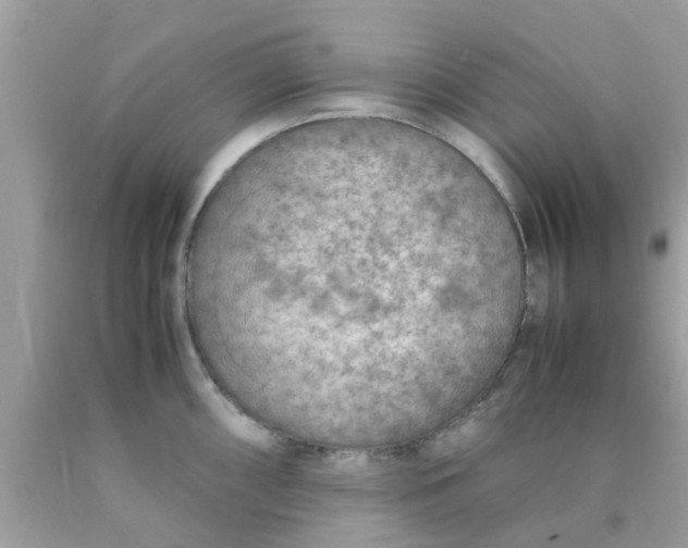 X0000090411098200707272044