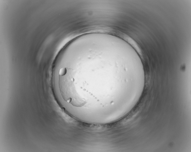 X0000090411099200707272044