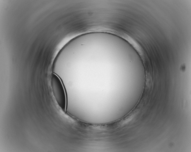 X0000090411102200707272044