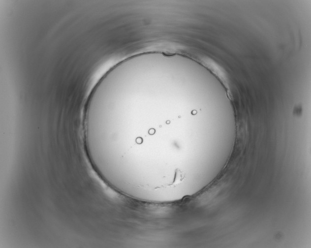 X0000090411103200707272044