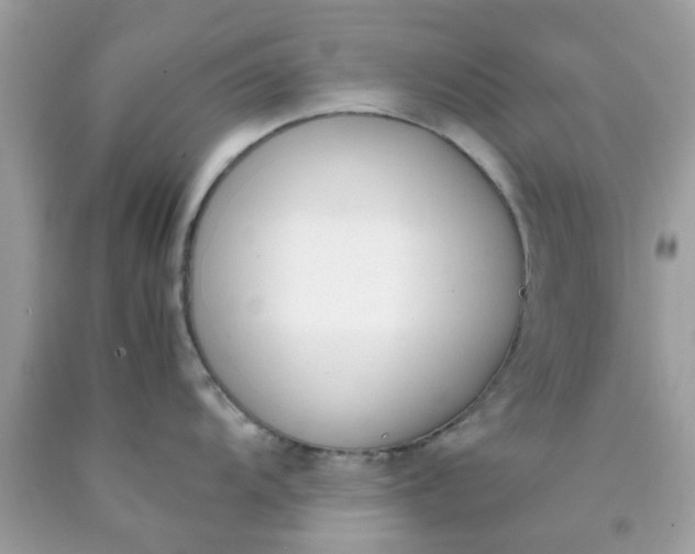X0000090411104200707272044