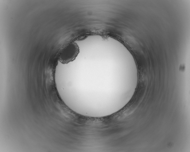 X0000090411106200707272043