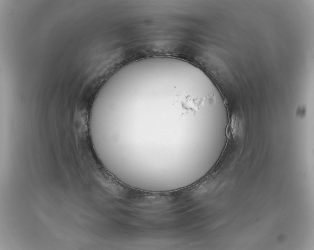 X0000090411107200707272043