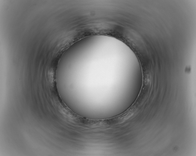 X0000090411108200707272043