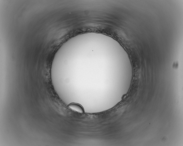 X0000090411109200707272043
