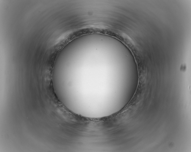 X0000090411110200707272043