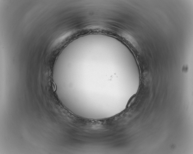 X0000090411111200707272043