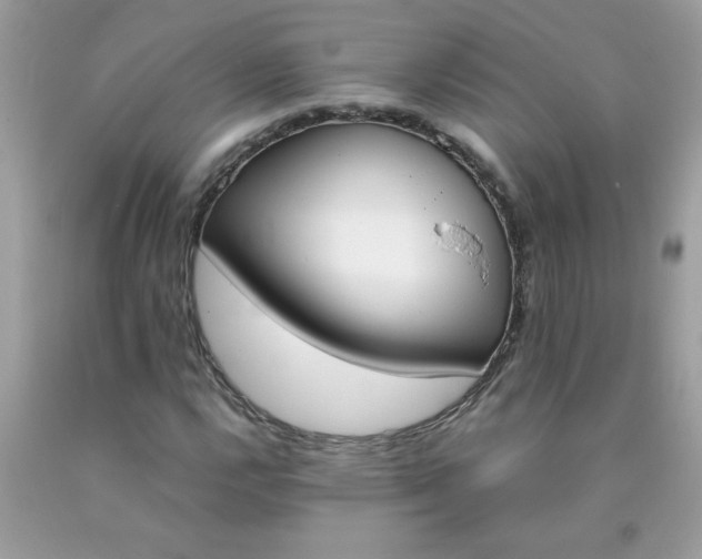 X0000090411112200707272043
