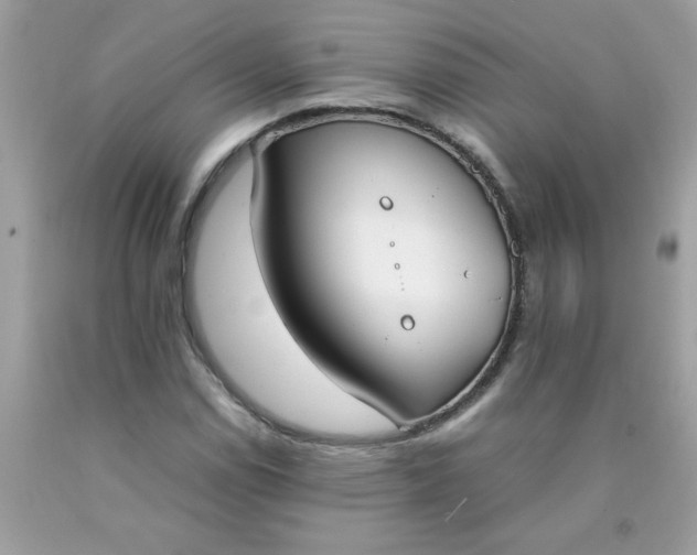 X0000090411114200707272043