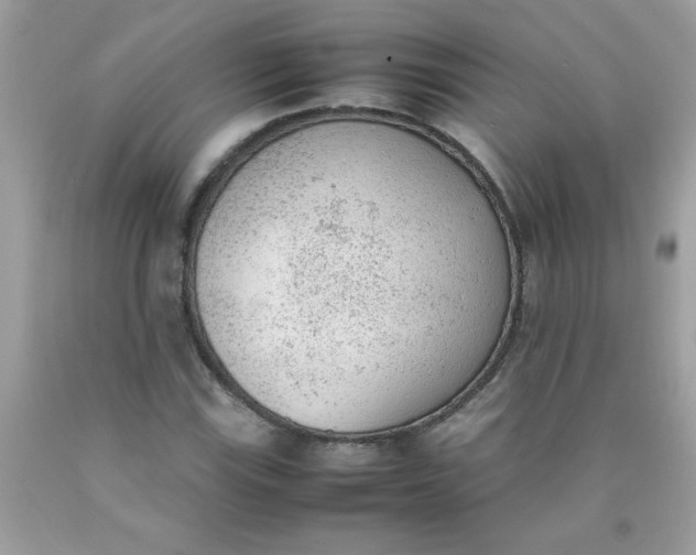 X0000090411115200707272043