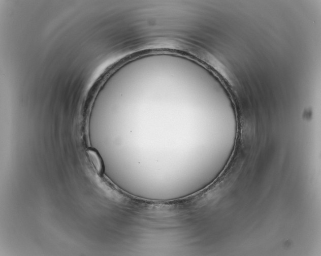 X0000090411116200707272043
