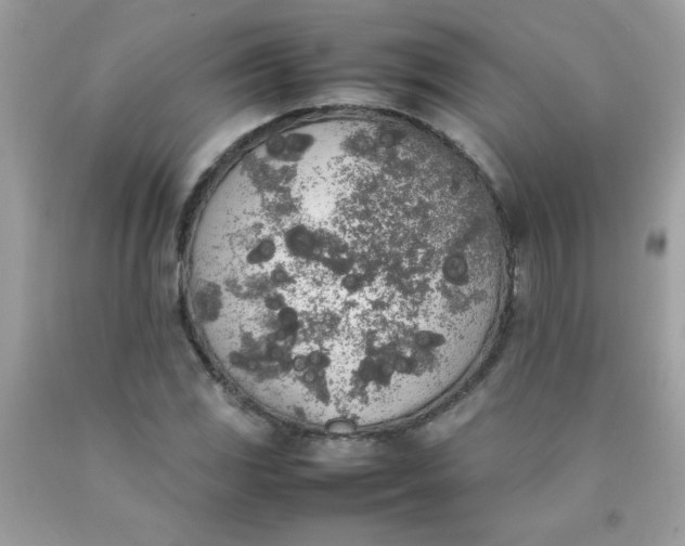 X0000090411117200707272043