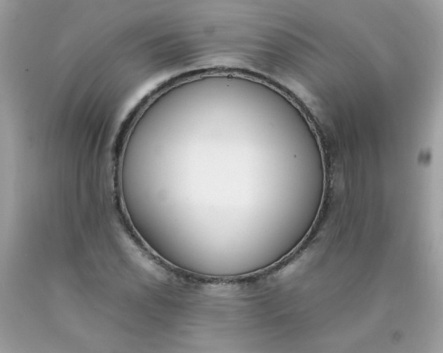 X0000090411118200707272043
