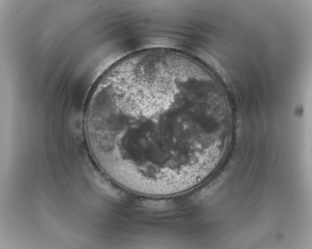 X0000090411121200707272043