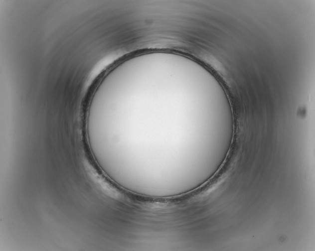 X0000090411122200707272043