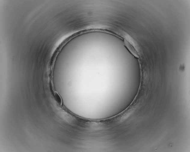 X0000090411124200707272043