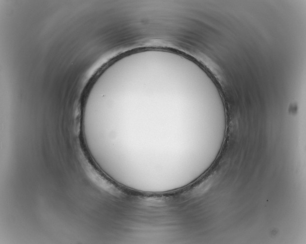 X0000090411126200707272043