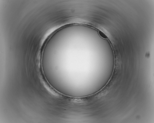 X0000090411128200707272043