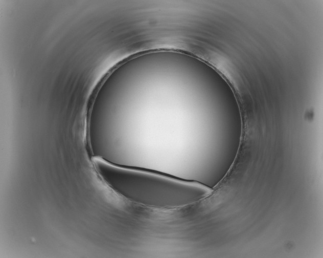 X0000090411132200707272043