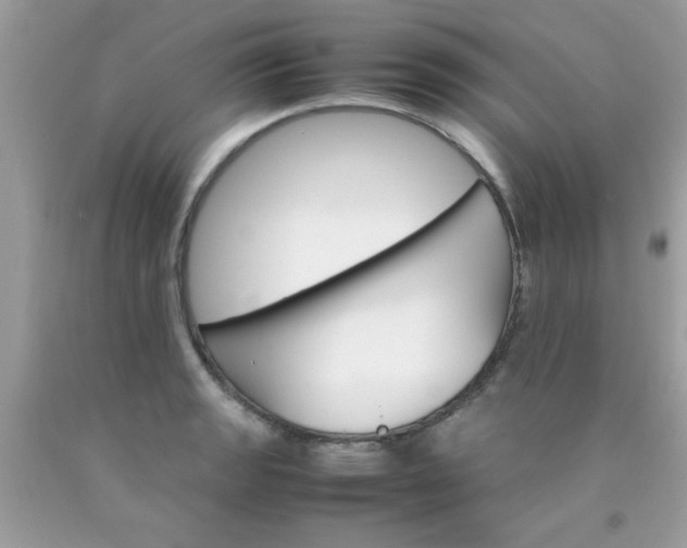 X0000090411133200707272043
