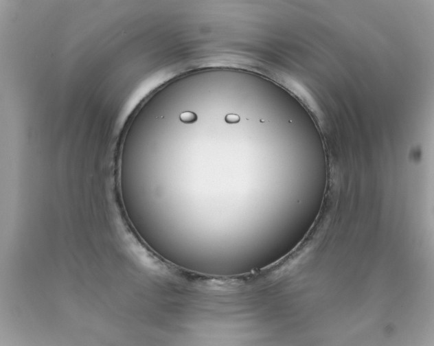X0000090411138200707272043