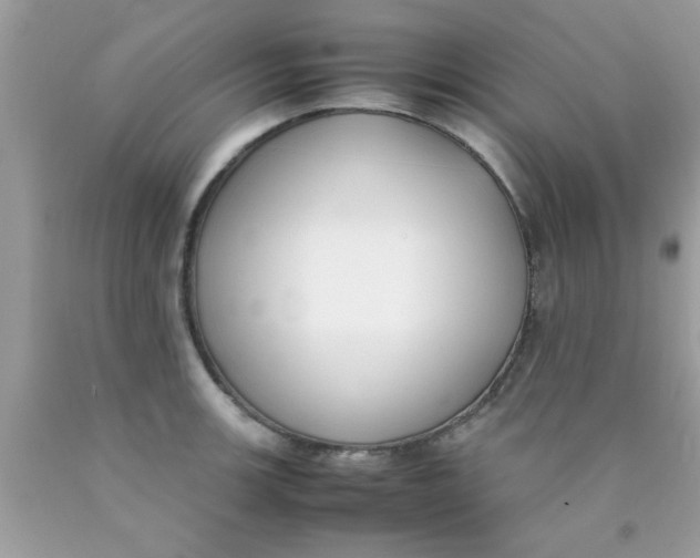 X0000090411139200707272043