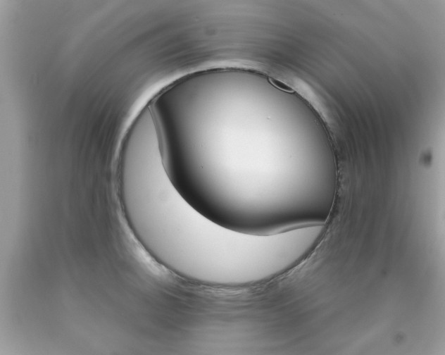 X0000090411140200707272043