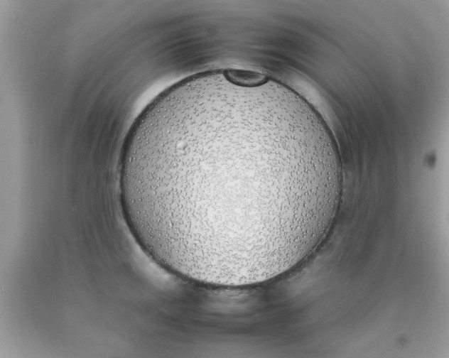 X0000090411141200707272043