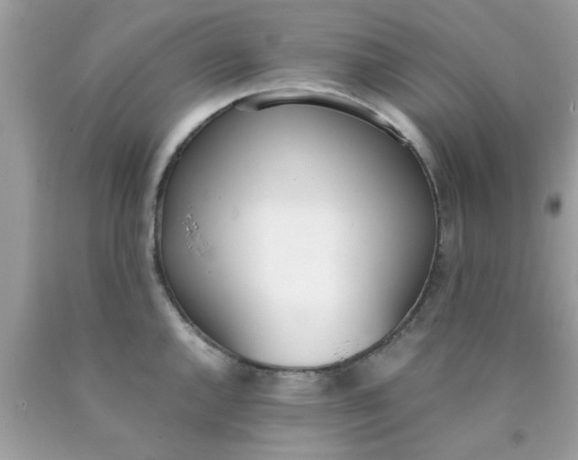 X0000090411144200707272043