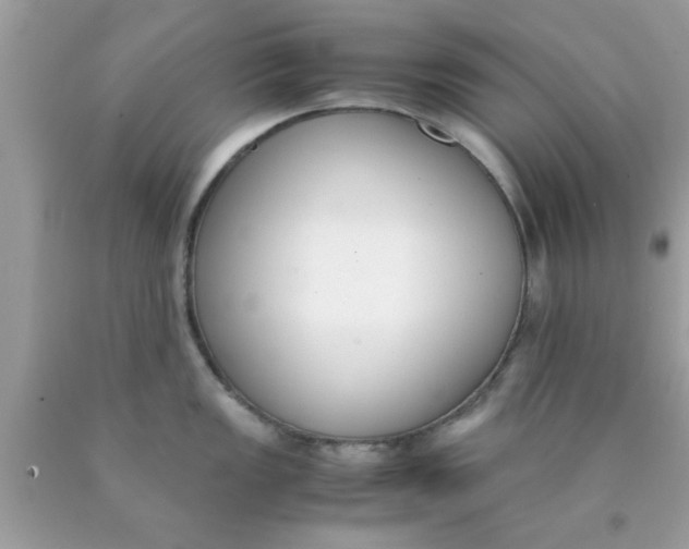 X0000090411149200707272044