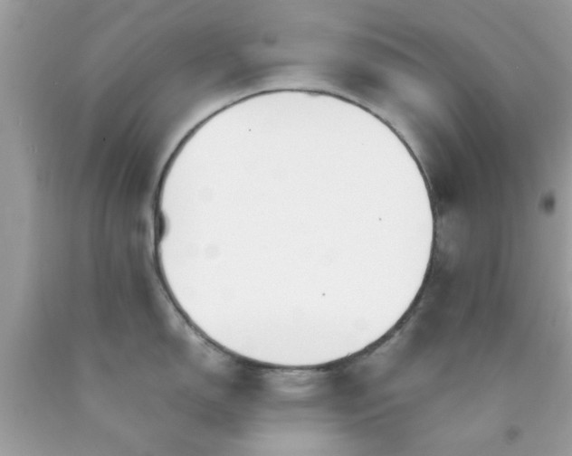 X0000090411150200707272044