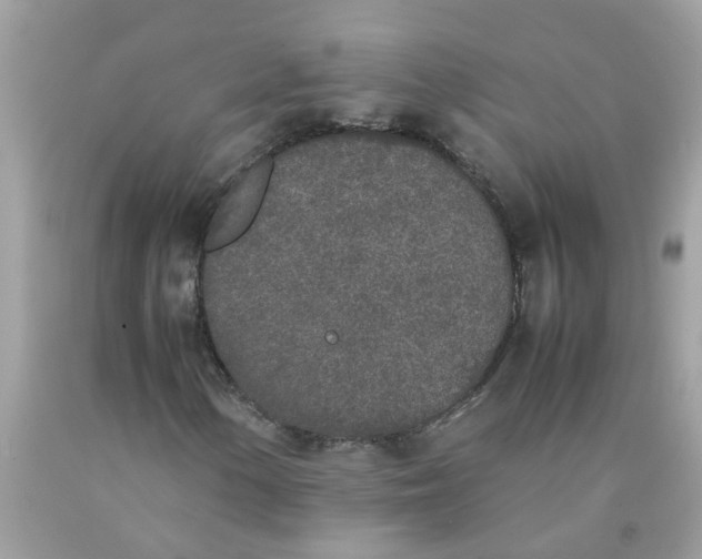 X0000090411154200707272043