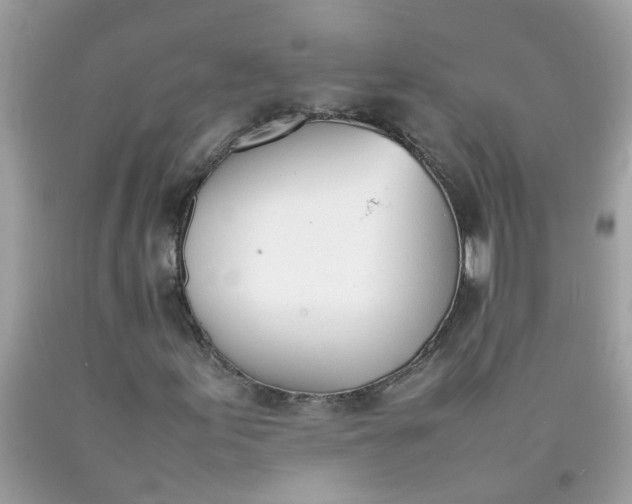 X0000090411155200707272043