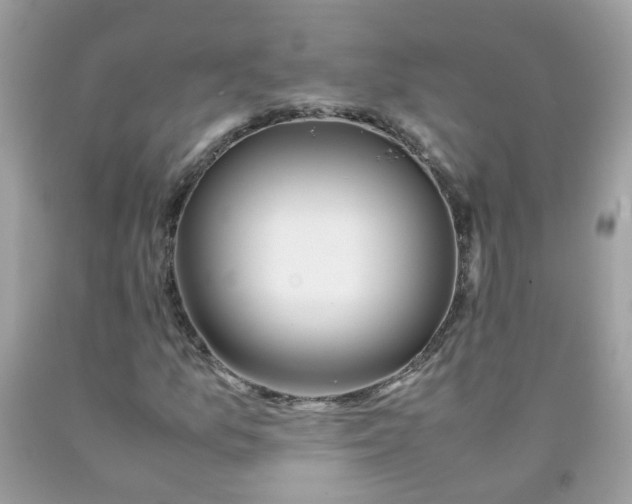 X0000090411157200707272043