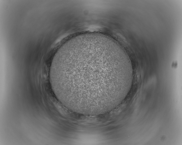 X0000090411158200707272043