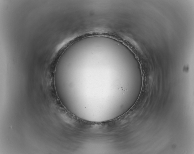 X0000090411160200707272043