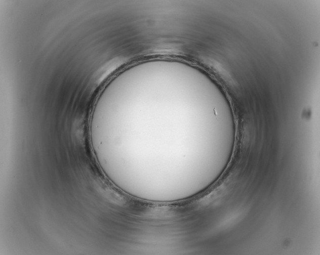 X0000090411162200707272043