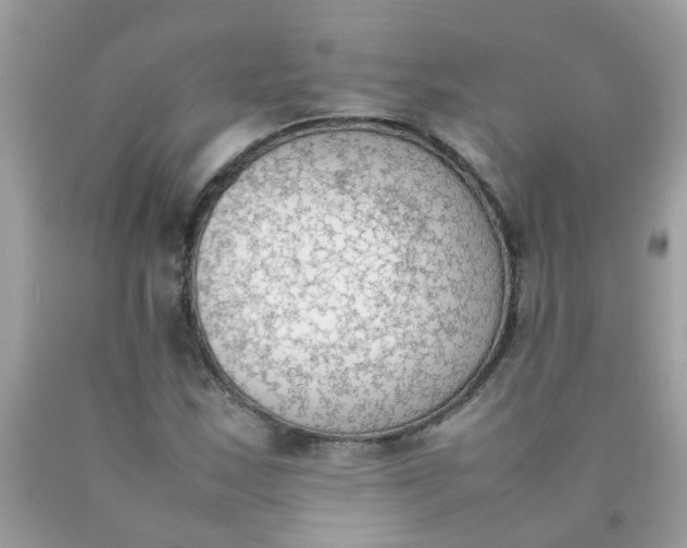 X0000090411163200707272043
