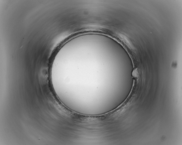 X0000090411164200707272043