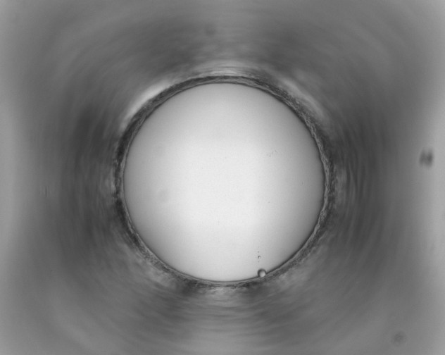 X0000090411166200707272043