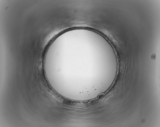 X0000090411167200707272043