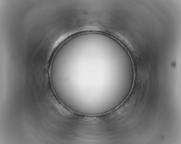 X0000090411168200707272043
