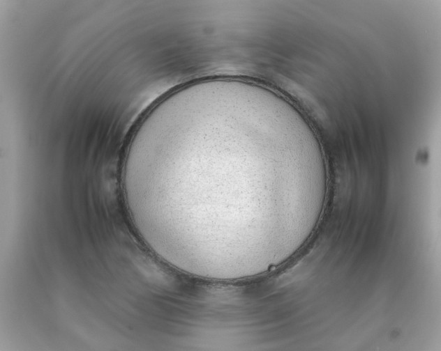 X0000090411170200707272043