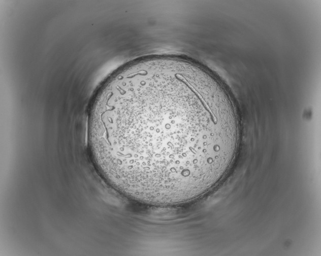 X0000090411171200707272043