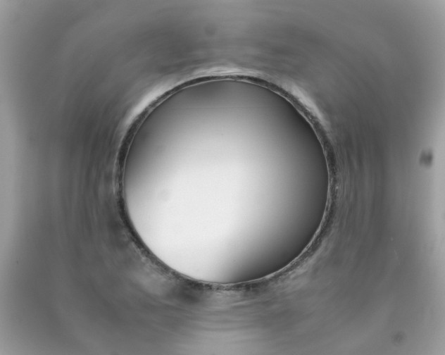 X0000090411173200707272043