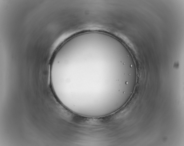 X0000090411175200707272043